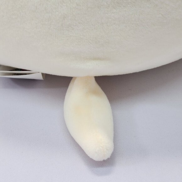 Squishmallow Elanor the Pirate Bulldog! 8”  NWT - Picture 3 of 12